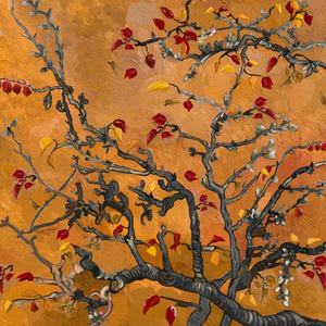 东京热久久综合久久88
