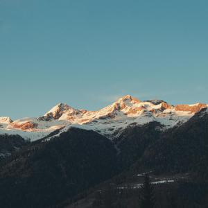 东京热久久综合久久88
