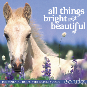 东京热久久综合久久88
