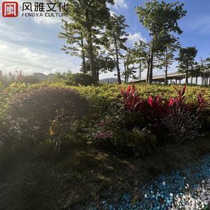 东京热久久综合久久88
